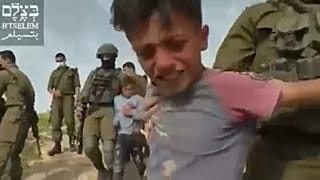 AP/B'Tselem