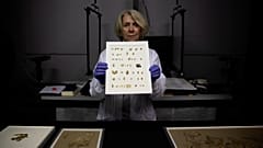 Schriftrolle in Einzelteilen: Rund 2000 Jahre alt, gefunden in Israel