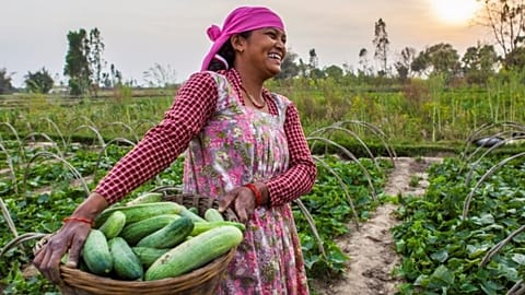 Solving world hunger may seem far fetched, but some experts say it can be done. 