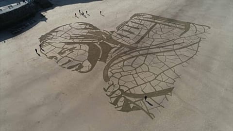 Bild eines äthiopischen Mädchens, das Wasser trägt