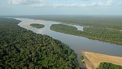 Amazon rainforest