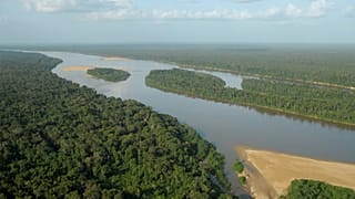 Amazon rainforest