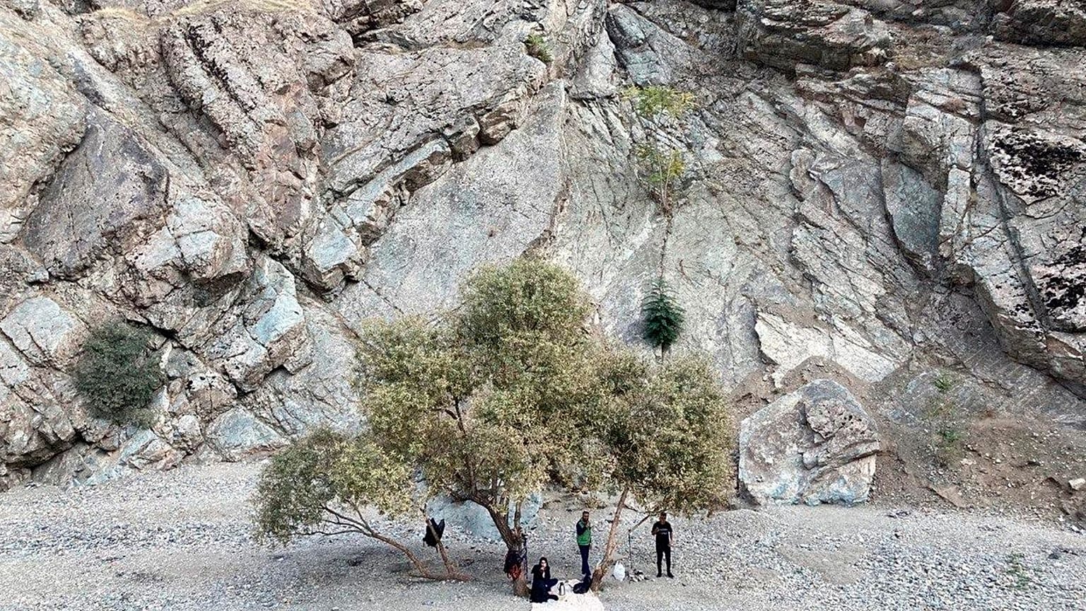 زندگی از جریان نمی‌ایستد...
