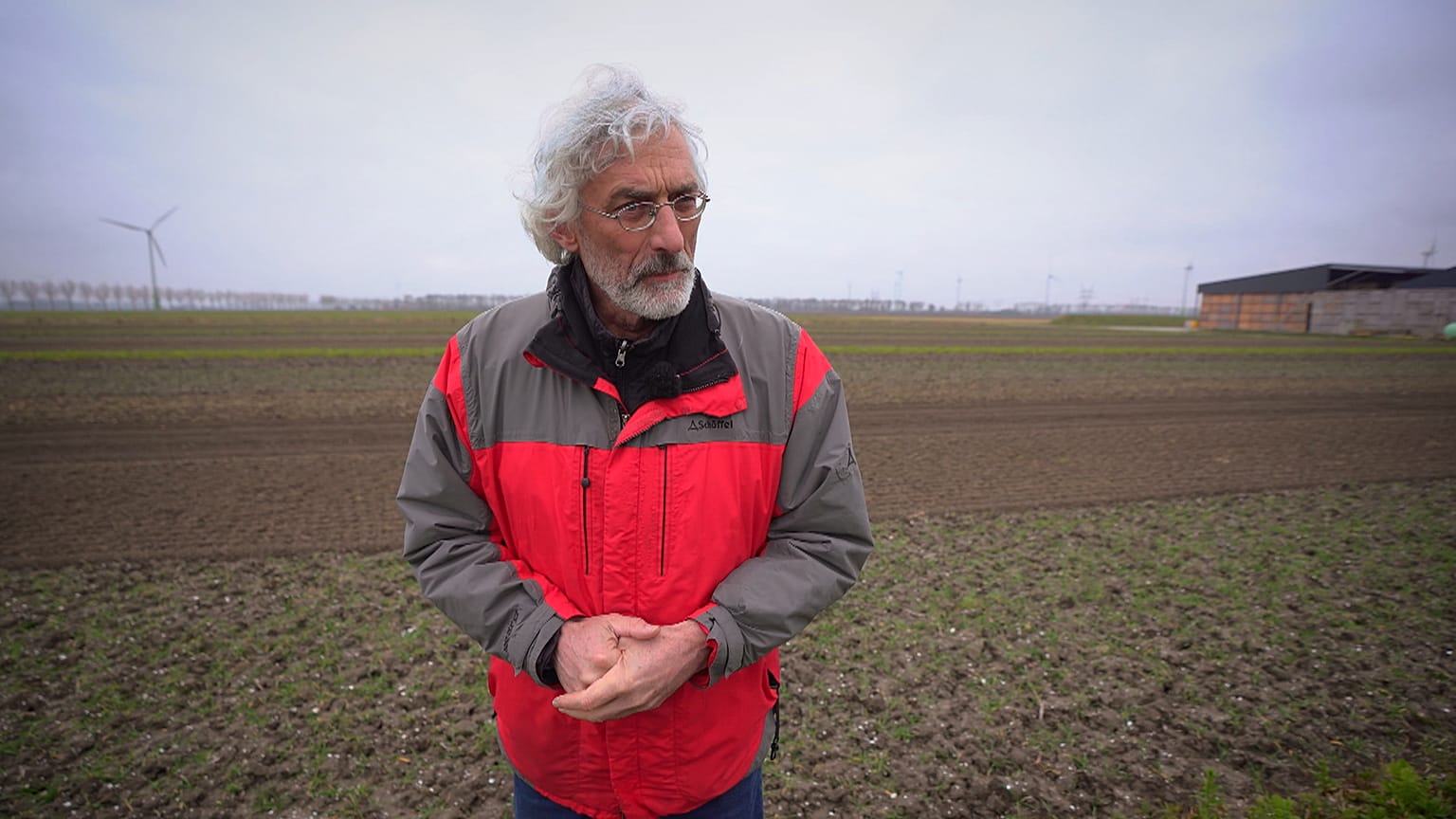 Errónea apuesta por los grandes monocultivos en la agricultura actual
