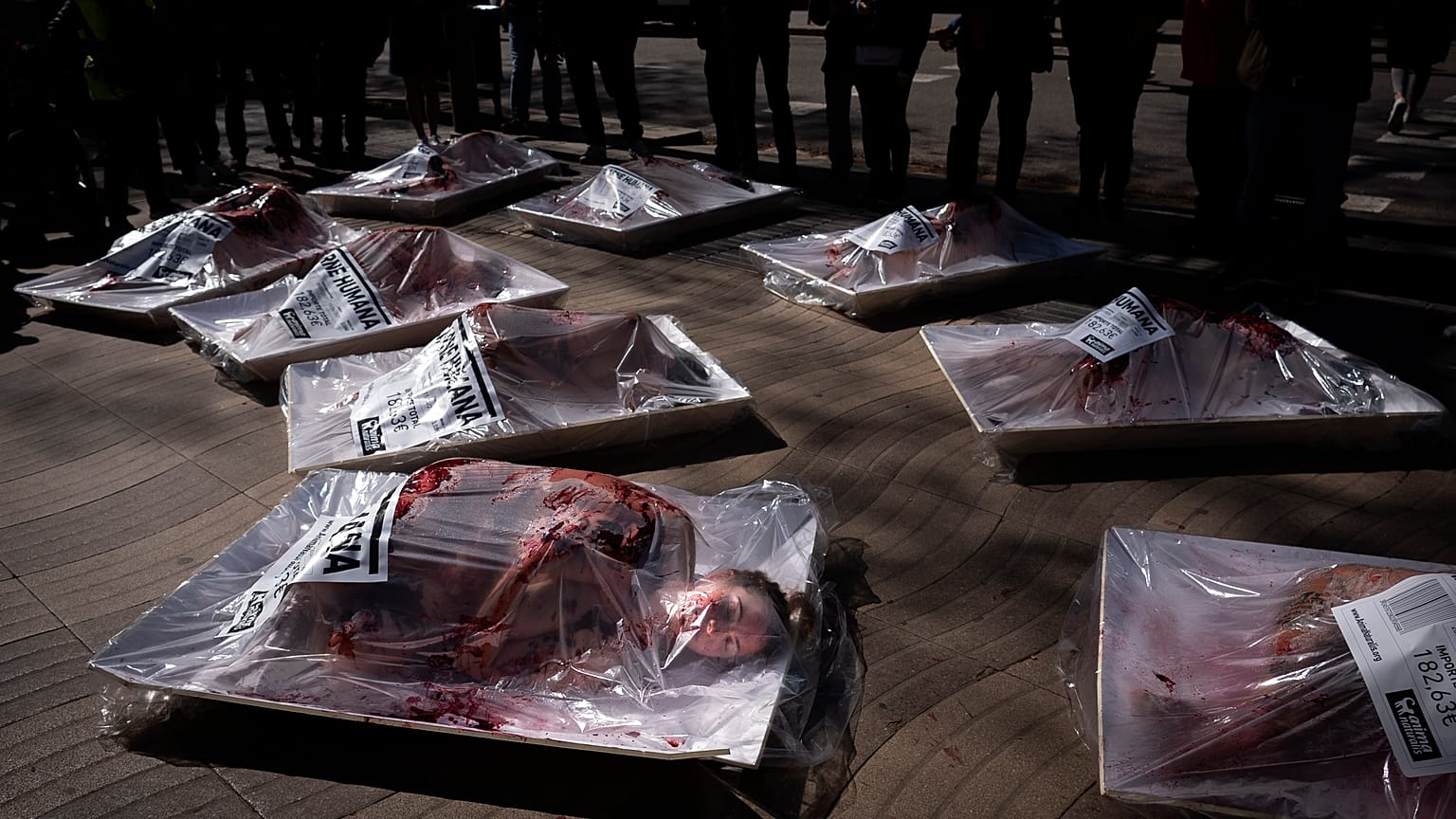 Barcellona, protesta degli animalisti: confezionati come carne sulla Rambla