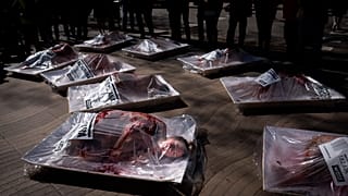 Barcellona, protesta degli animalisti: confezionati come carne sulla Rambla