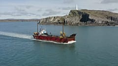 Vor der Südküste Irlands befinden sich viel befahrene Schifffahrtswege - und Wale, die von den Schiffen gestört werden. 