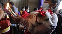 Никарагуа: хозяева молятся о здоровье своих питомцев 