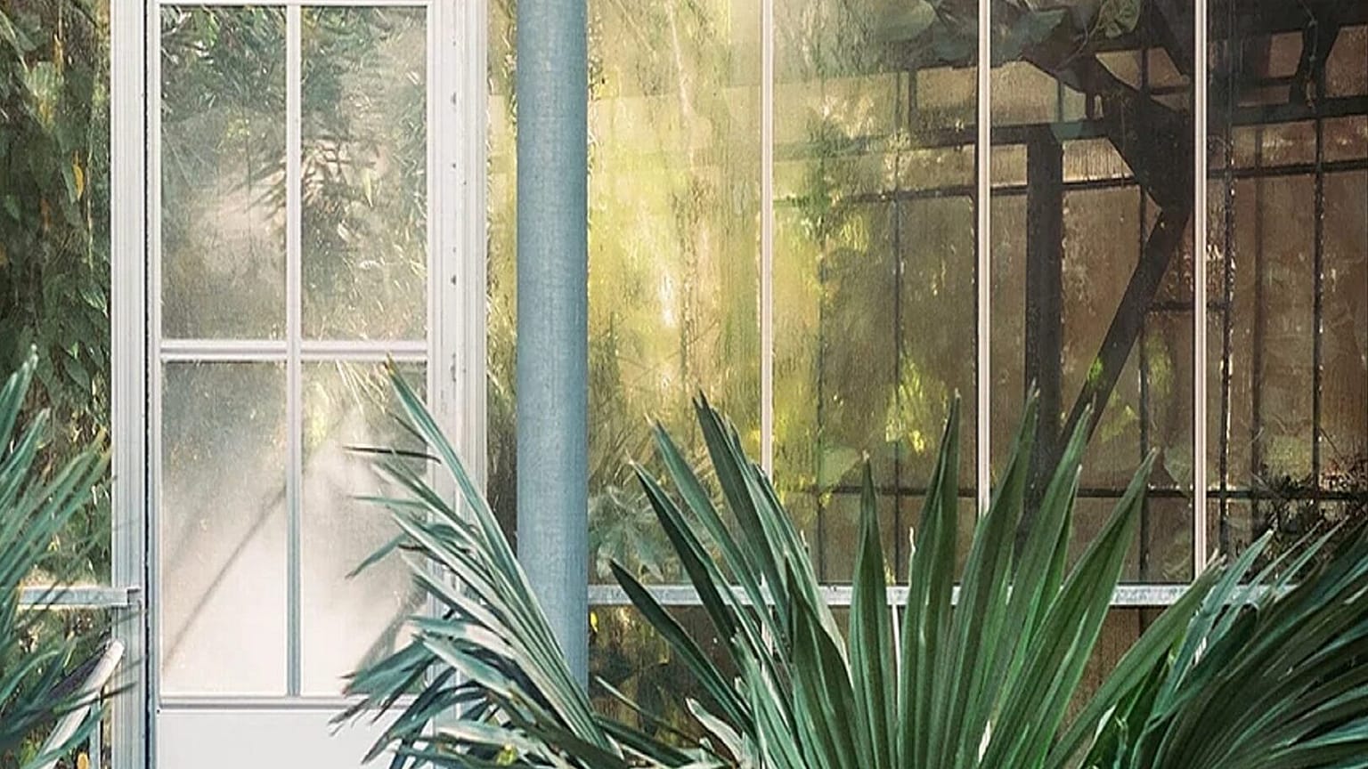 Transparent wood could be a vital part of building sustainable housing.