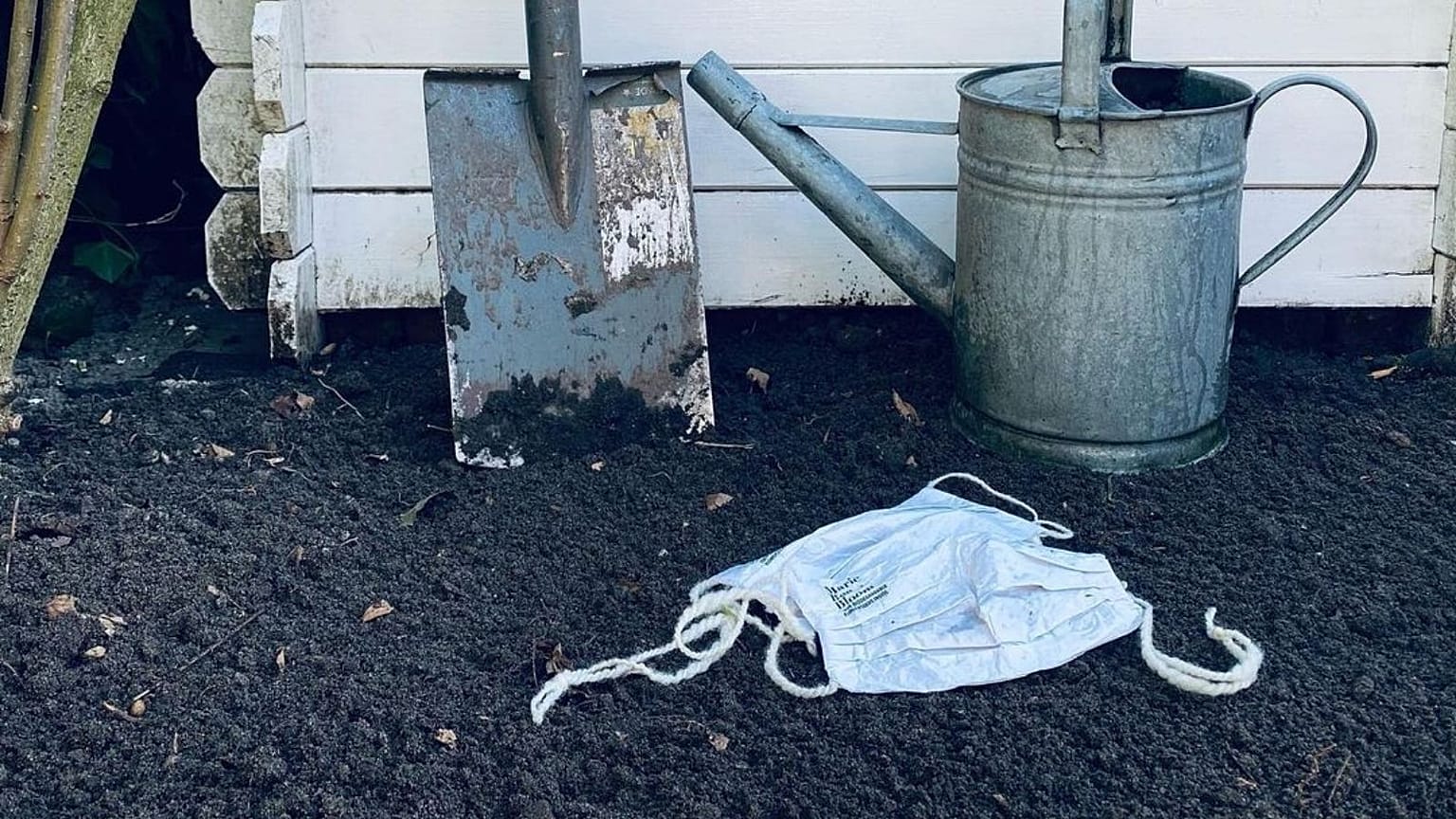 This face mask can grow into flowers