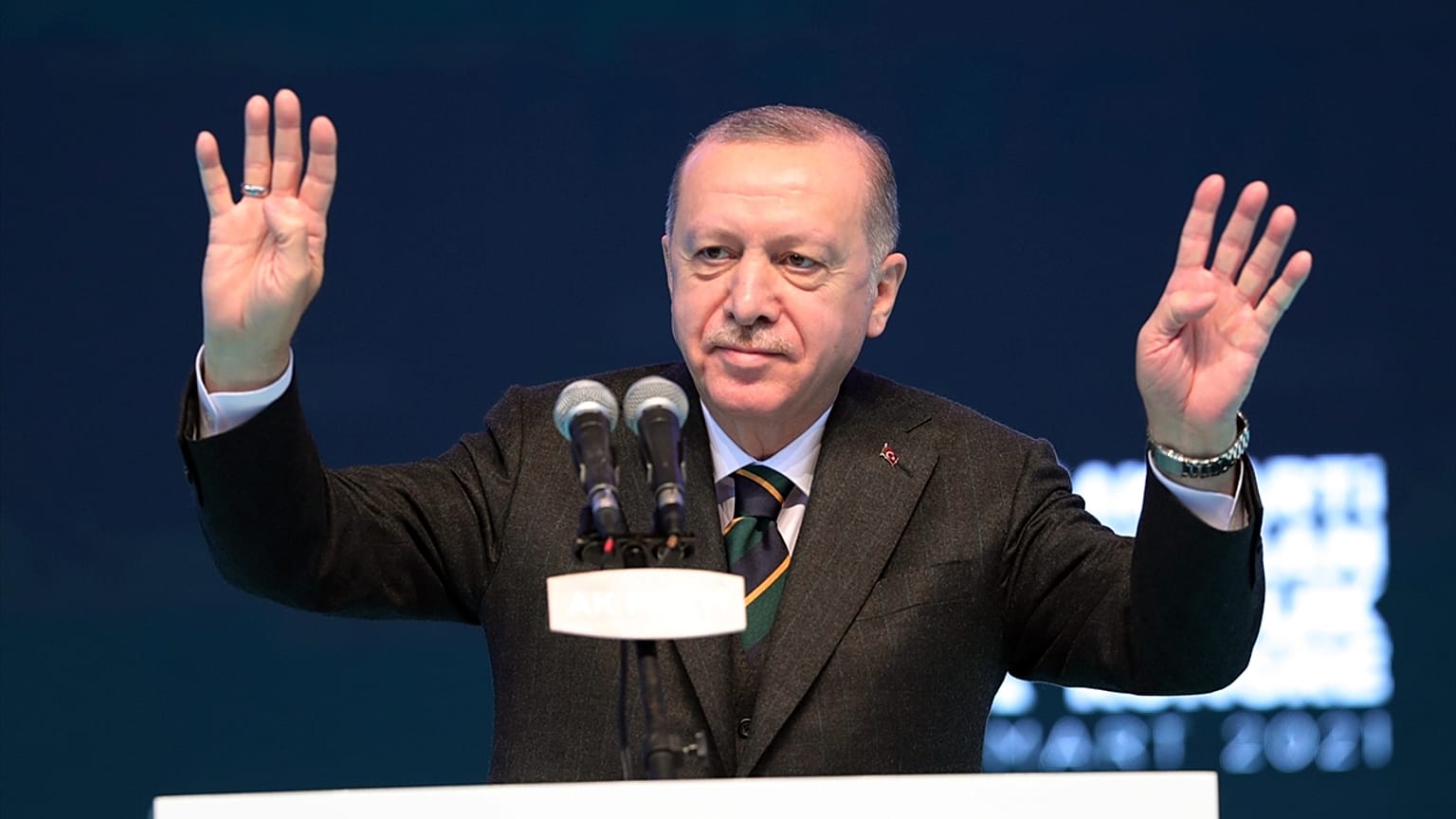 Cumhurbaşkanı Recep Tayyip Erdoğan