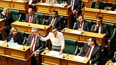New Zealand parliament