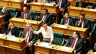 New Zealand parliament