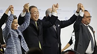 The UN Convention on Biological Diversity in Bonn, Germany in 2008