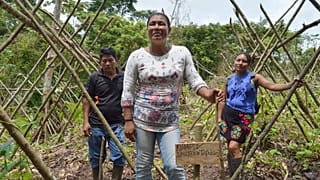 Indigenous and Tribal Peoples have been shown to be the best guardians of Latin America's forests.