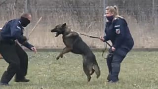 AP