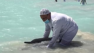 متطوعون سعوديون يرجعون الدلافين العالقة باليد إلى المياه العميقة في منطقة أملج الواقعة على البحر الأحمر- السعودية.