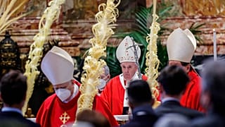 Papst zum Auftakt der Karwoche: "Warum geraten wir nicht mehr ins Staunen?"