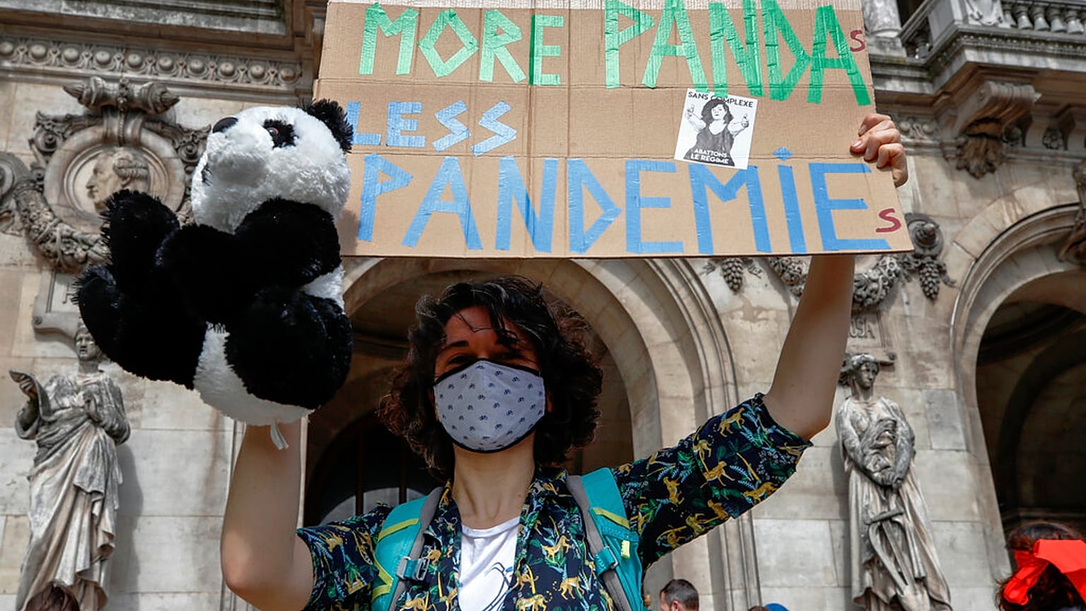 Francia somete a debate parlamentario el proyecto de ley sobre el clima, la calle ambiciona más