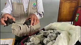 Ilhas Galápagos