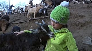 Moderne Heidi (10): Homeschooling auf der Alm zwischen den Ziegen