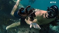 "My octopus teacher" en lice pour les Oscars 