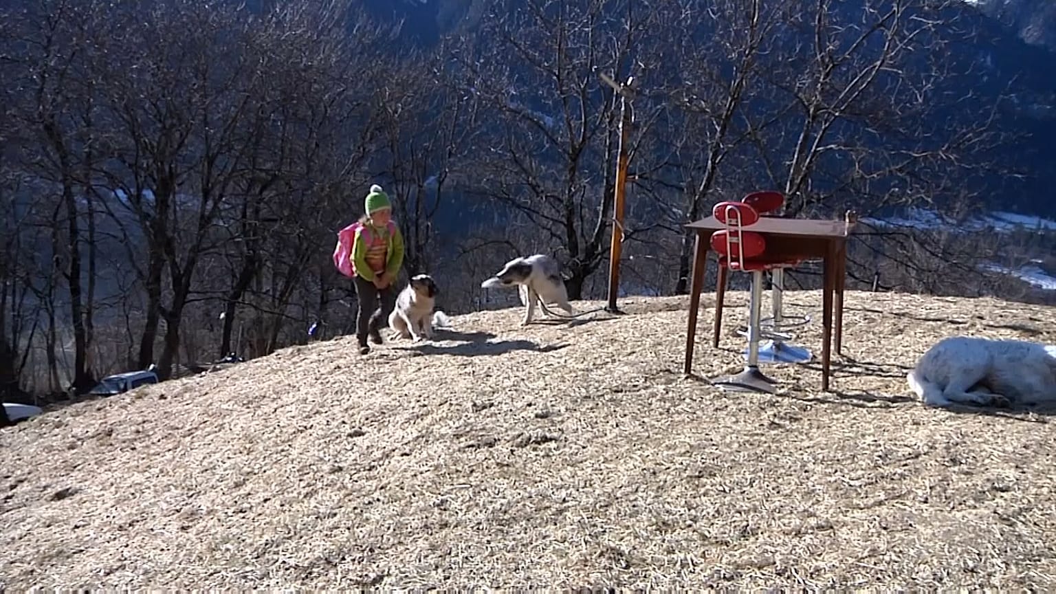 Is this the perfect homeschool set-up?