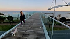 Λεμεσός