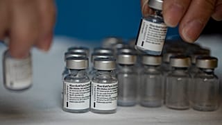 Pfizer Vaccine
