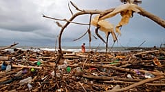 A Sri Lankan ragpicker searches for plastic waste washed ashore on the promenade of the Indian ocean in Colombo, Sri Lanka, Monday, June 4, 2018
