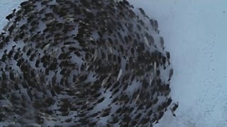 Lovozero, Rússia