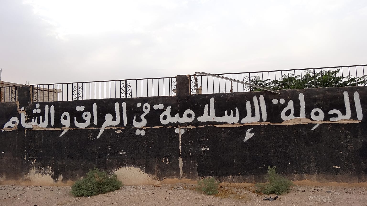 وأظهرت وثيقة قضائية أنّ برادلي أصبح محط اهتمام مكتب التحقيقات الفدرالي "إف بي آي" بعد أن اعتقلت السلطات في 2019 صديقاً له كان يخطّط للذهاب إلى أفغانستان