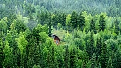 A secluded treehouse in Alaska