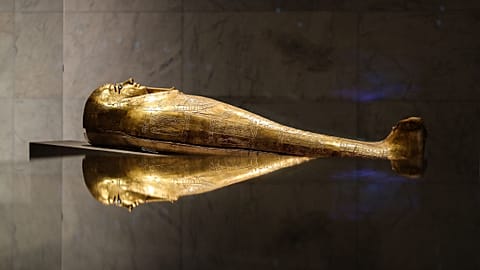 A golden sarcophagus is exhibited at Egypt's new National Museum of Egyptian Civilisation (NMEC).