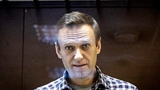 Rus muhalif lider Aleksey Navalny// Babuskinsky Mahkemesi, Moskova