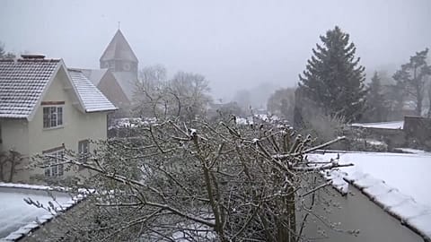 Snow falling on trees, properties and vehicles.