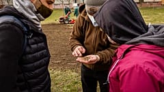 Ezekből a magokból egy vadvirágos rét születik majd
