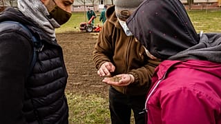 Ezekből a magokból egy vadvirágos rét születik majd