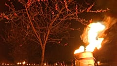 Feuer gegen den Frost, Obstbauern haben Angst um ihre Bäume