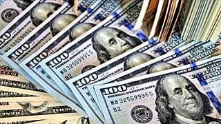 Amerikan doları 