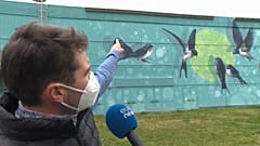Schlammpools für Rauchschwalben in Szeged