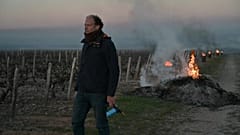 Kältewelle und später Frühlingsfrost bedrohen französische Weinberge und Ernte