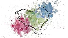 Colour representation of the genetic mix and structure in the Basque region; green symbolizes the Basques, while blue and red show mixing with adjacent populations.