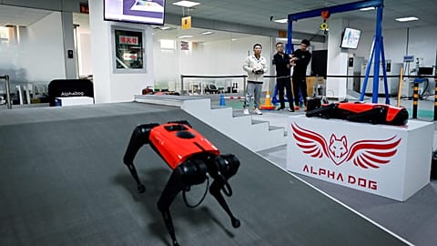 Chinese tech company develops robo dogs