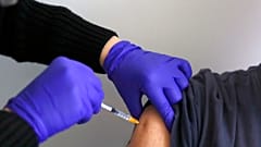 Vaccine 