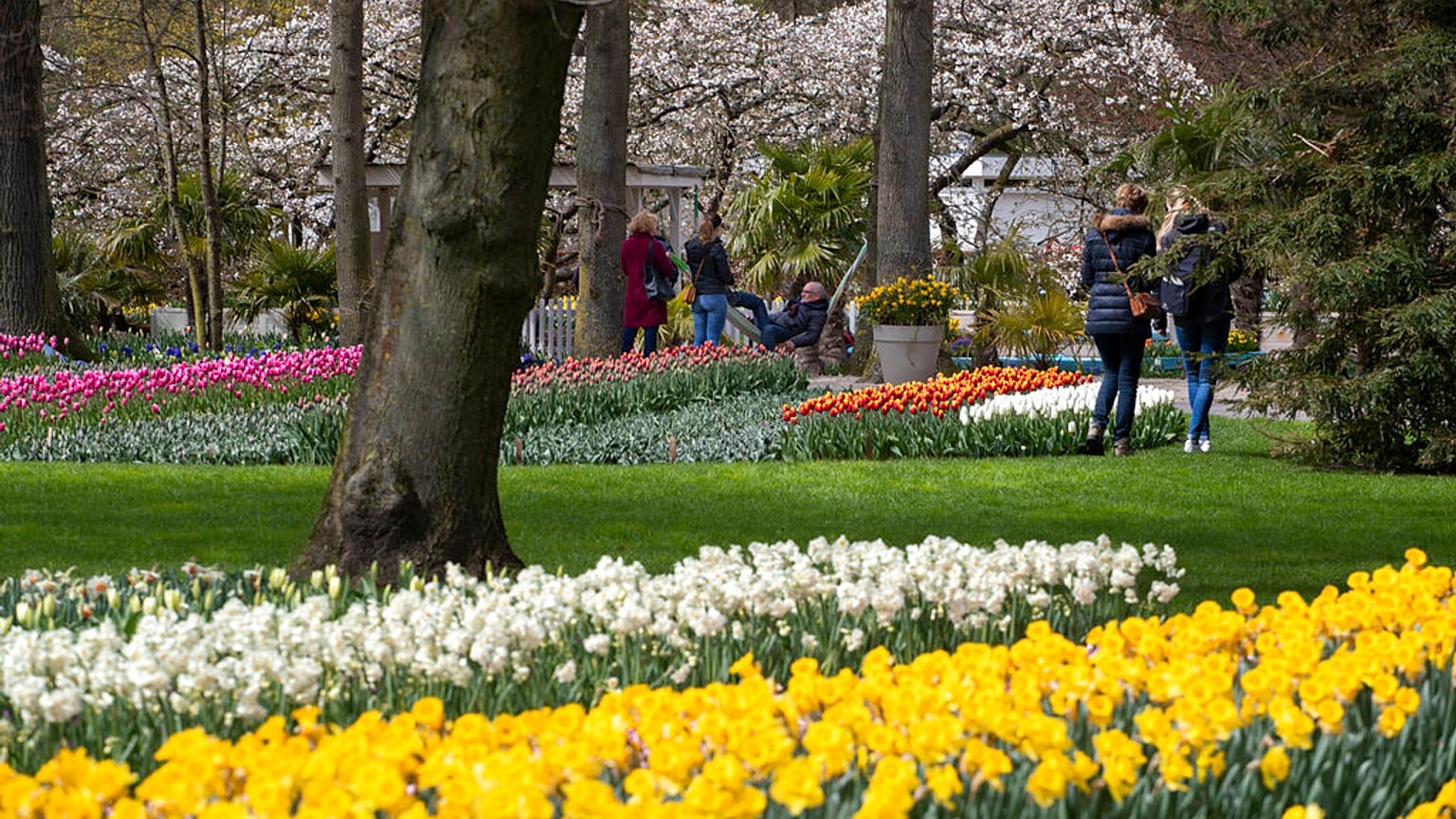 Der Keukenhof in den Niederlanden