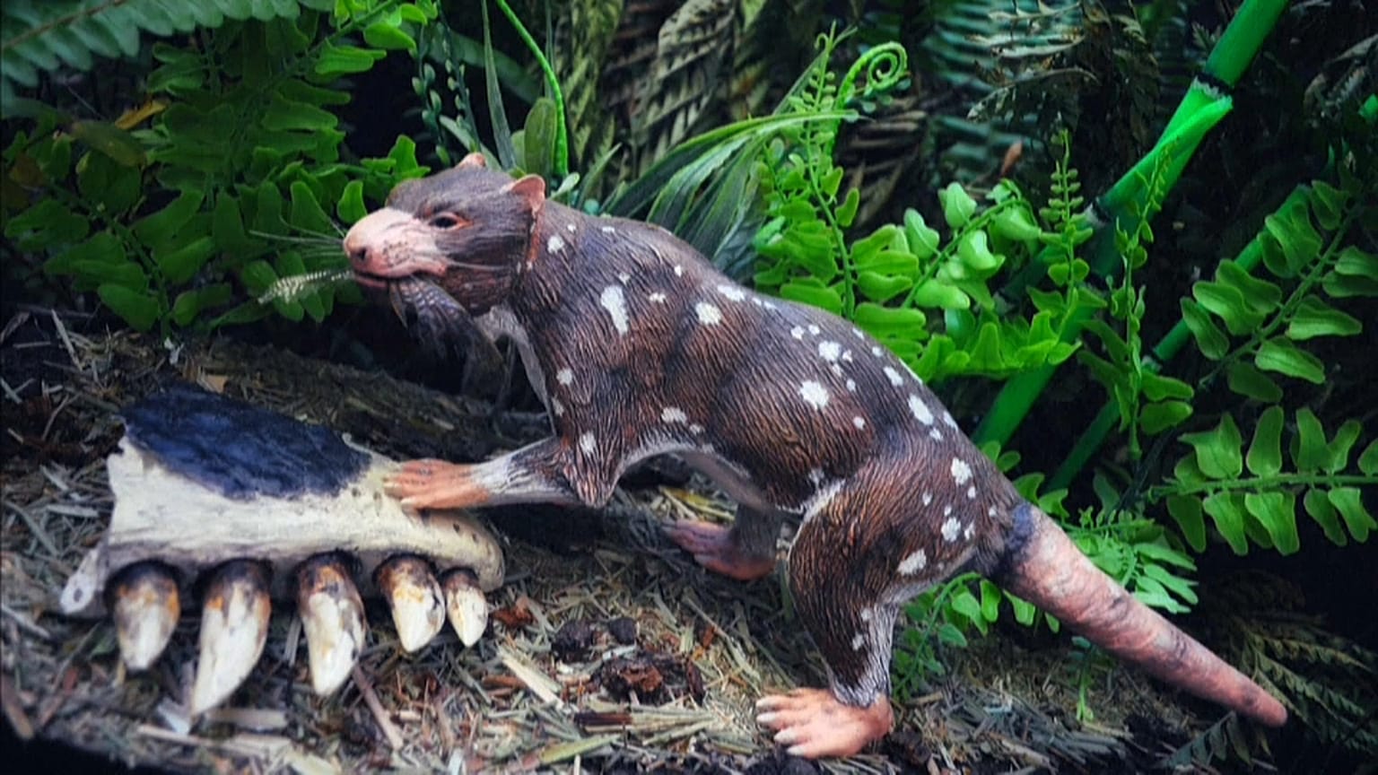 Representación gráfica del Orretherium tzen, la 'bestia de cinco dientes'
