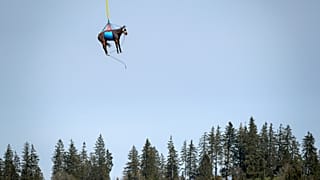 A horse is being airlifted by Swiss army force helicopter. The scientific project aims at rapidly evacuating injured horses to a medical veterinary infrastructure