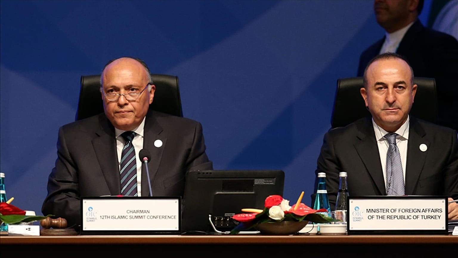 Mısır Dışişleri Bakanı Samih Şukri, Türkiye Dışişleri Bakanı Mevlüt Çavuşoğlu