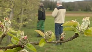euronews